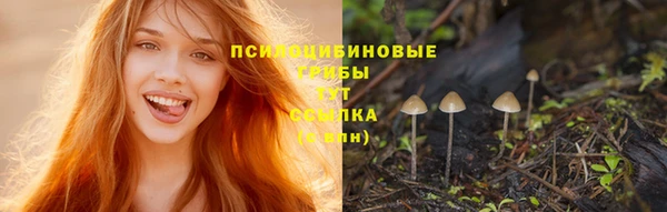 ГАЛЛЮЦИНОГЕННЫЕ ГРИБЫ Балахна