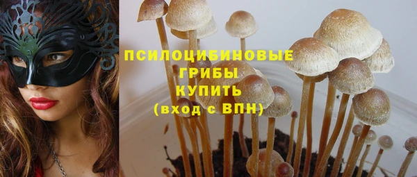 ГАЛЛЮЦИНОГЕННЫЕ ГРИБЫ Балахна