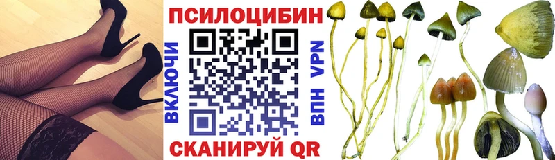 купить наркотик  Красновишерск  Псилоцибиновые грибы MAGIC MUSHROOMS 